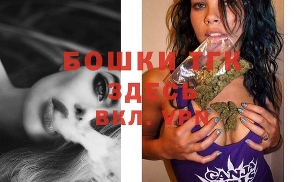 дурь Вяземский