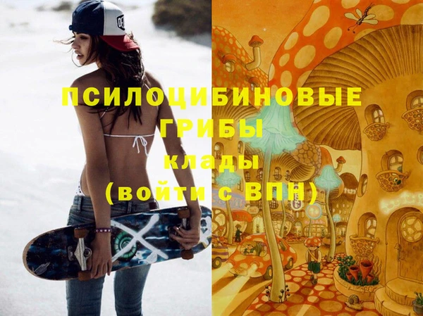 дурь Вяземский
