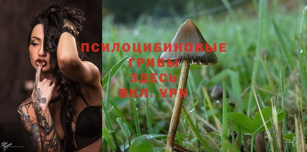дурь Вяземский