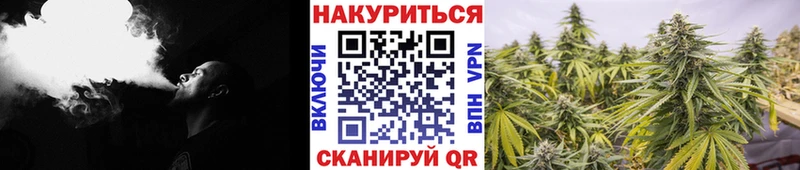 Бошки Шишки планчик  Копейск 